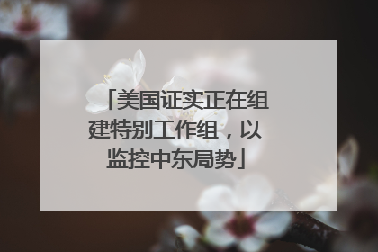 美国证实正在组建特别工作组，以监控中东局势