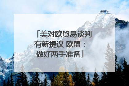 美对欧贸易谈判有新提议 欧盟：做好两手准备