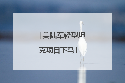 美陆军轻型坦克项目下马