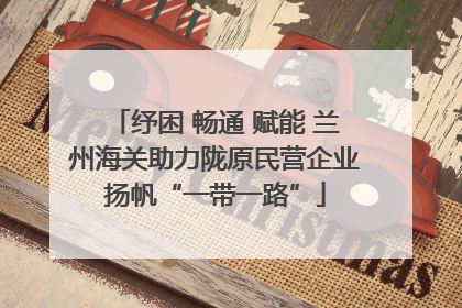 纾困 畅通 赋能 兰州海关助力陇原民营企业扬帆“一带一路”