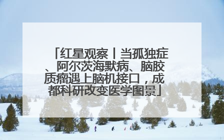 红星观察丨当孤独症、阿尔茨海默病、脑胶质瘤遇上脑机接口，成都科研改变医学图景