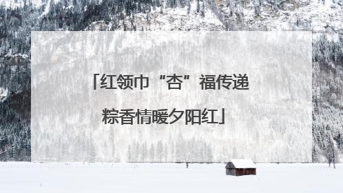 红领巾“杏”福传递 粽香情暖夕阳红