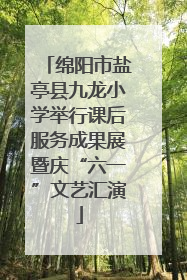 绵阳市盐亭县九龙小学举行课后服务成果展暨庆“六一”文艺汇演