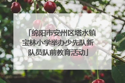 绵阳市安州区塔水镇宝林小学举办少先队新队员队前教育活动