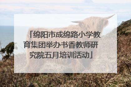 绵阳市成绵路小学教育集团举办书香教师研究院五月培训活动