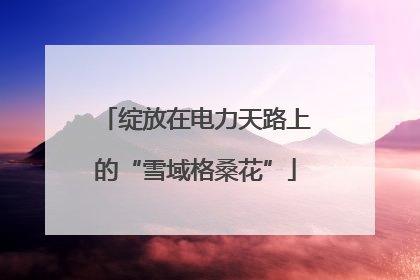 绽放在电力天路上的“雪域格桑花”