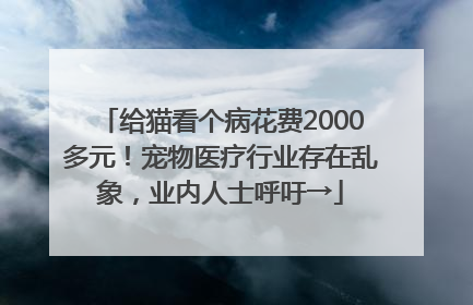 给猫看个病花费2000多元！宠物医疗行业存在乱象，业内人士呼吁→