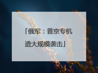 俄军：普京专机遭大规模袭击