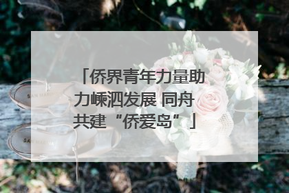 侨界青年力量助力嵊泗发展 同舟共建“侨爱岛”