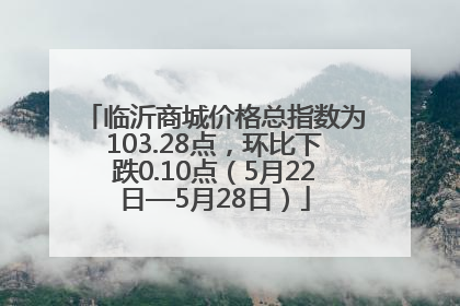 临沂商城价格总指数为103.28点，环比下跌0.10点（5月22日—5月28日）