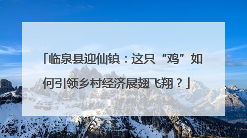 临泉县迎仙镇：这只“鸡”如何引领乡村经济展翅飞翔？