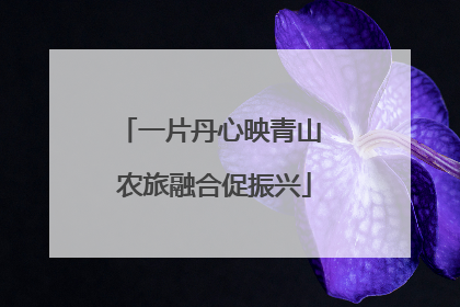 一片丹心映青山 农旅融合促振兴