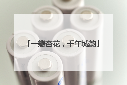 一瓣杏花，千年城韵