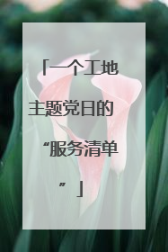一个工地主题党日的“服务清单”