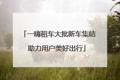 一嗨租车大批新车集结 助力用户美好出行
