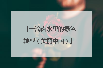 一滴卤水里的绿色转型（美丽中国）