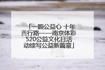 一颗公益心 十年善行路——南京体彩520公益文化日活动续写公益新篇章