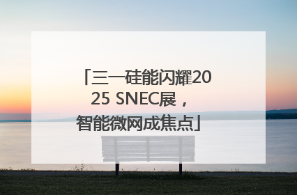 三一硅能闪耀2025 SNEC展，智能微网成焦点