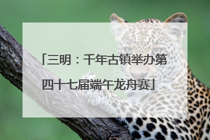 三明：千年古镇举办第四十七届端午龙舟赛