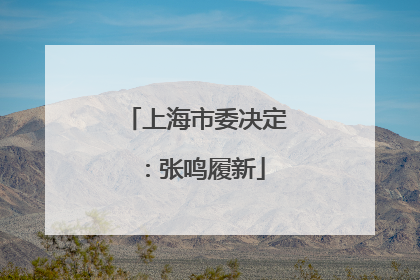 上海市委决定：张鸣履新