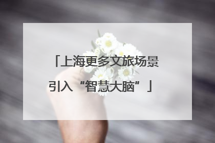 上海更多文旅场景引入“智慧大脑”