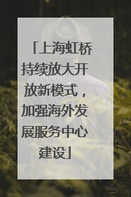 上海虹桥持续放大开放新模式，加强海外发展服务中心建设