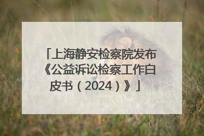 上海静安检察院发布《公益诉讼检察工作白皮书（2024）》