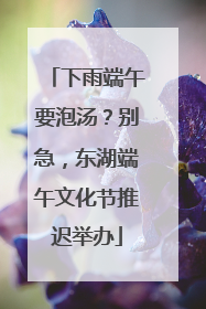 下雨端午要泡汤？别急，东湖端午文化节推迟举办