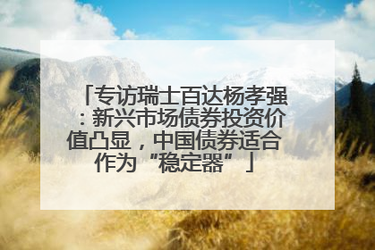 专访瑞士百达杨孝强：新兴市场债券投资价值凸显，中国债券适合作为“稳定器”