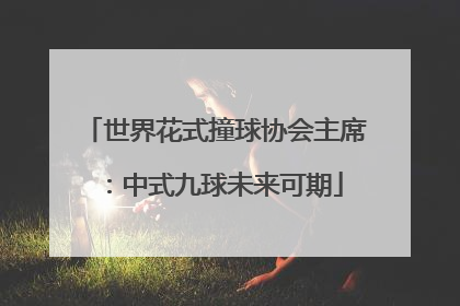 世界花式撞球协会主席：中式九球未来可期