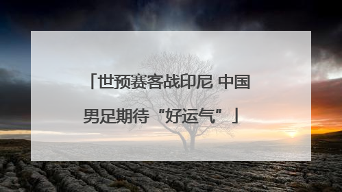 世预赛客战印尼 中国男足期待“好运气”