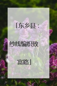 东乡县：纱线编织致富路