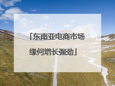 东南亚电商市场缘何增长强劲