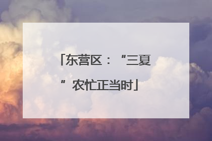 东营区：“三夏”农忙正当时