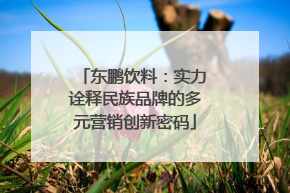 东鹏饮料：实力诠释民族品牌的多元营销创新密码