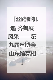 丝路新机遇 齐鲁展风采——第九届丝博会山东馆亮相