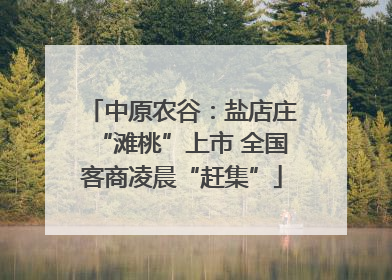 中原农谷：盐店庄“滩桃”上市 全国客商凌晨“赶集”