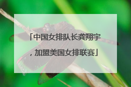 中国女排队长龚翔宇，加盟美国女排联赛