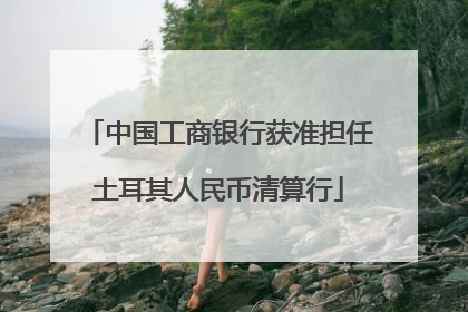 中国工商银行获准担任土耳其人民币清算行