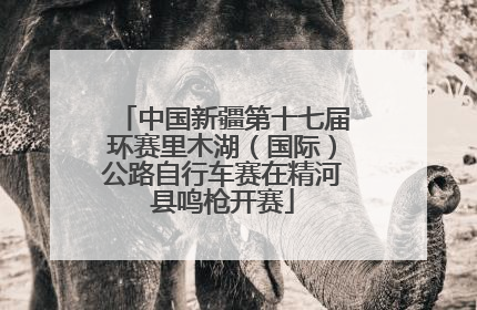 中国新疆第十七届环赛里木湖（国际）公路自行车赛在精河县鸣枪开赛