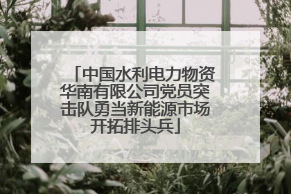 中国水利电力物资华南有限公司党员突击队勇当新能源市场开拓排头兵