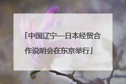 中国辽宁—日本经贸合作说明会在东京举行
