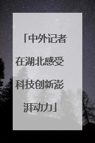 中外记者在湖北感受科技创新澎湃动力