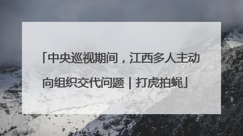 中央巡视期间，江西多人主动向组织交代问题｜打虎拍蝇