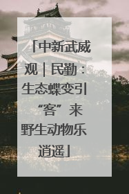 中新武威观｜民勤：生态蝶变引“客”来 野生动物乐逍遥