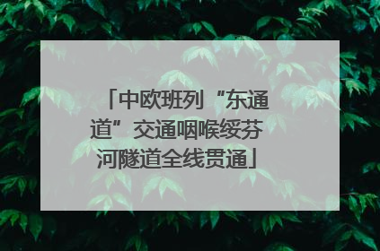 中欧班列“东通道”交通咽喉绥芬河隧道全线贯通