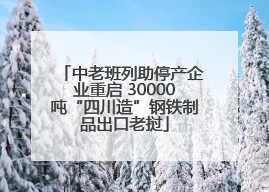 中老班列助停产企业重启 30000吨“四川造”钢铁制品出口老挝