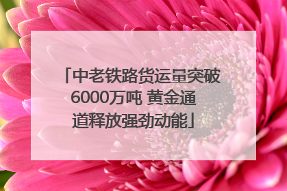 中老铁路货运量突破6000万吨 黄金通道释放强劲动能