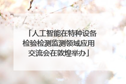 人工智能在特种设备检验检测监测领域应用交流会在敦煌举办
