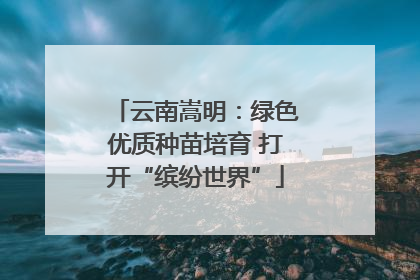 云南嵩明：绿色优质种苗培育 打开“缤纷世界”